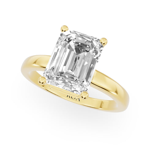 Crest Hidden Engagement Ring