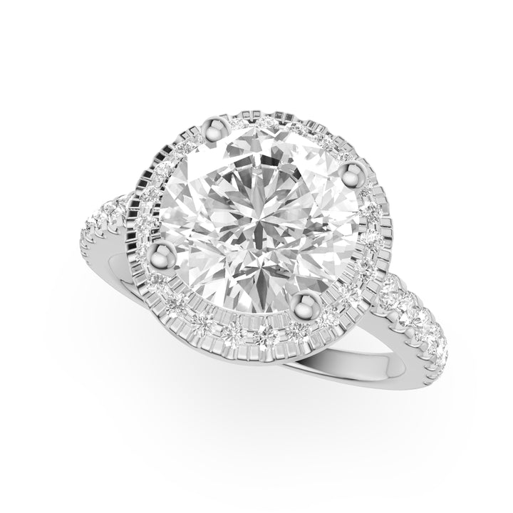Adelaide Halo Ring Engagement Ring in Round White Gold
